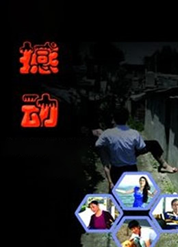 三妻四妾香港电影在线观看完整版